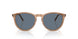 31894Y - Brown - Blue Polar