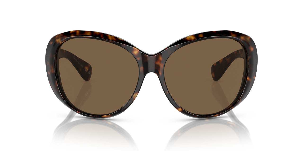 100973 - Tortoise - Brown
