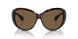 100973 - Tortoise - Brown