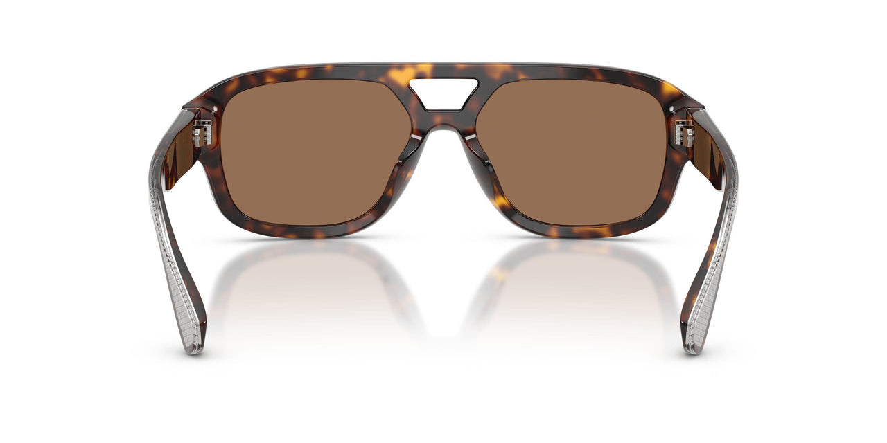 502/73 - Tortoise - Dark Brown