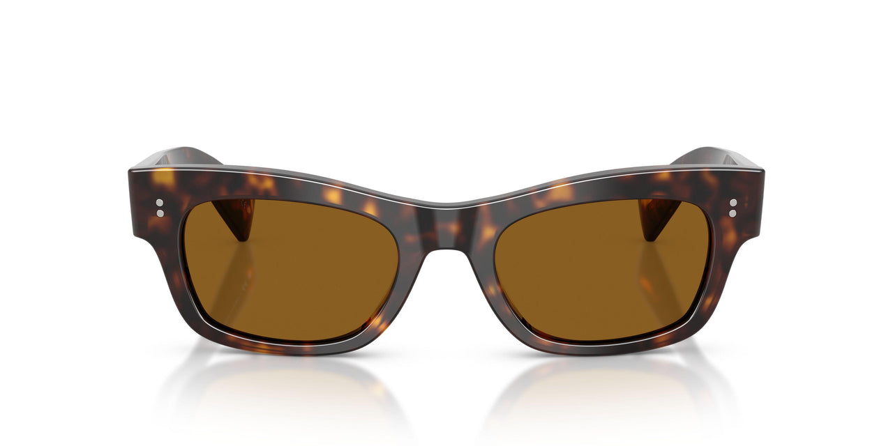 100953 - Tortoise - True Brown