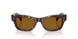 100953 - Tortoise - True Brown