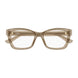 005 - Brown - Transparent