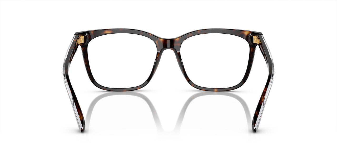 6052 - Tortoise