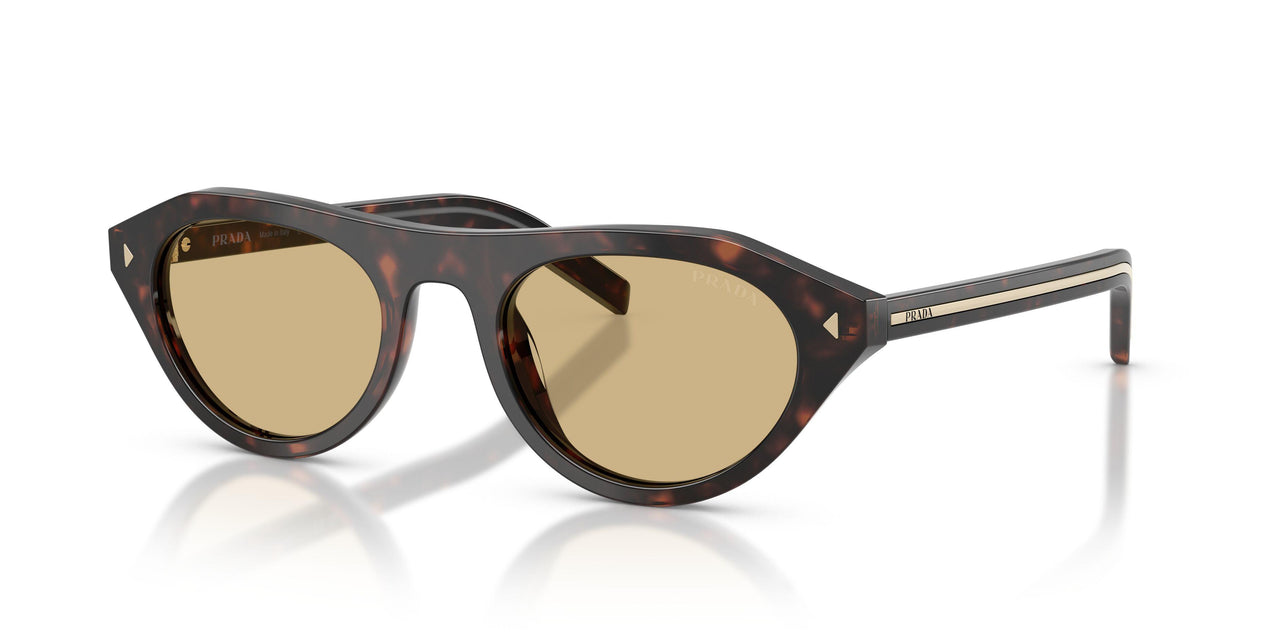 17N70R - Tortoise - Light Brown