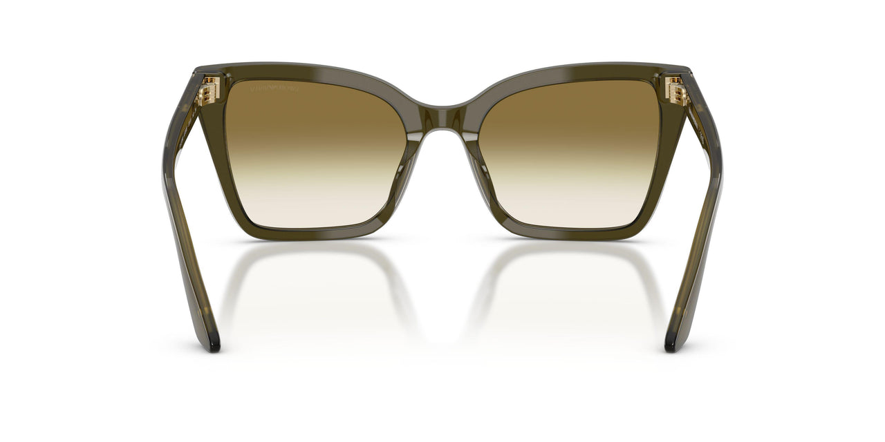 63788E - Green - Clear Gradient Dark Green