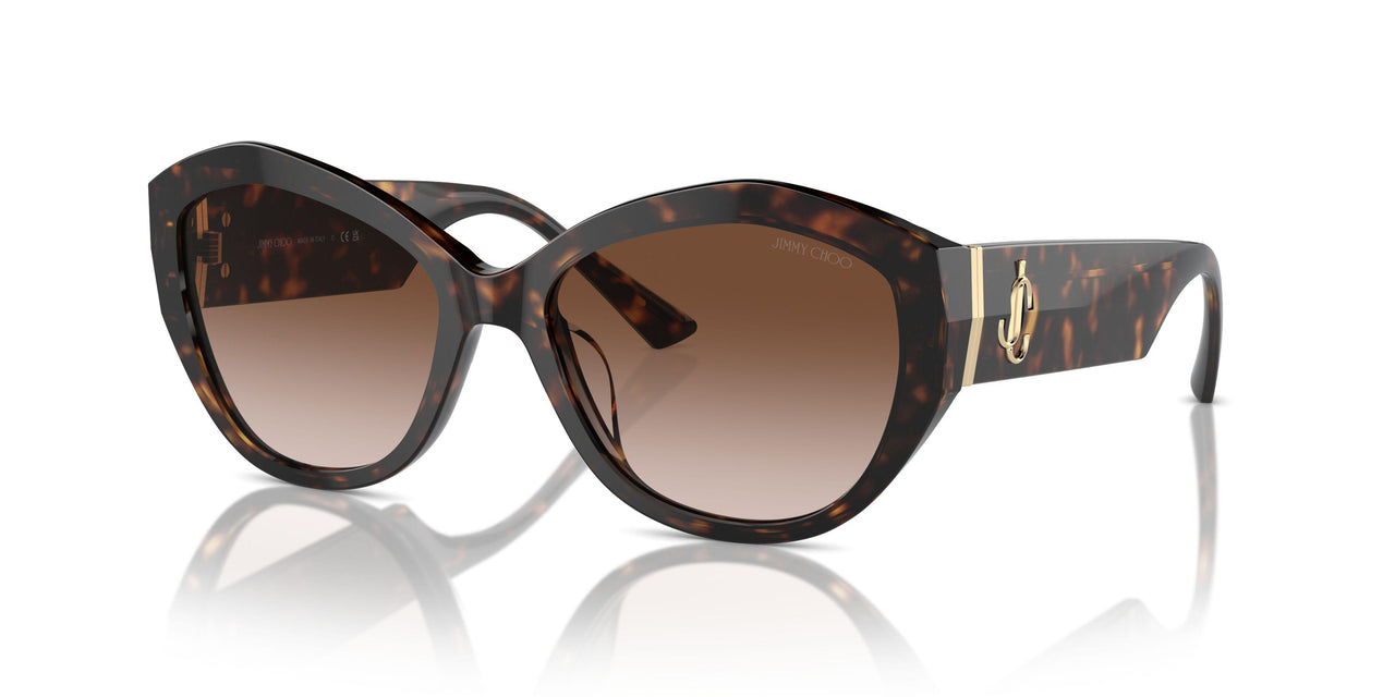 500213 - Tortoise - Gradient Brown