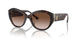 500213 - Tortoise - Gradient Brown