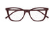 018 - Burgundy - Transparent