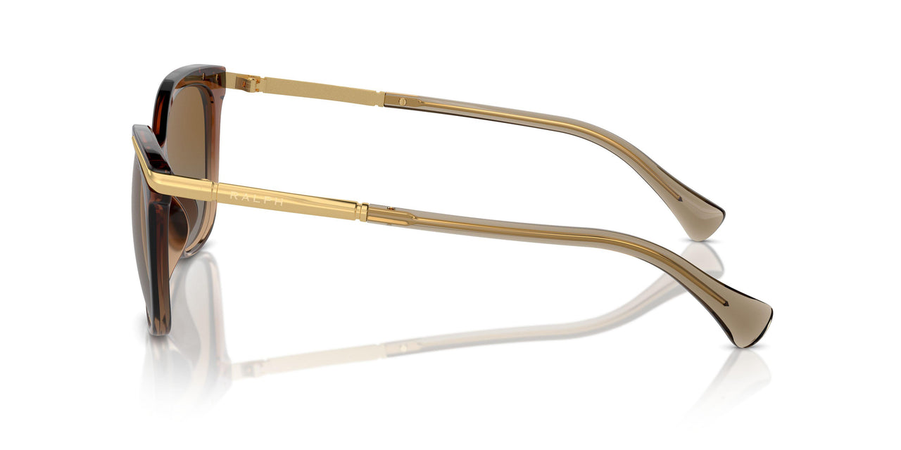6133T5 - Beige - Polar Gradient Brown