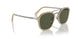 116931 - Brown - Green