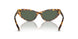 607871 - Tortoise - Dark Green
