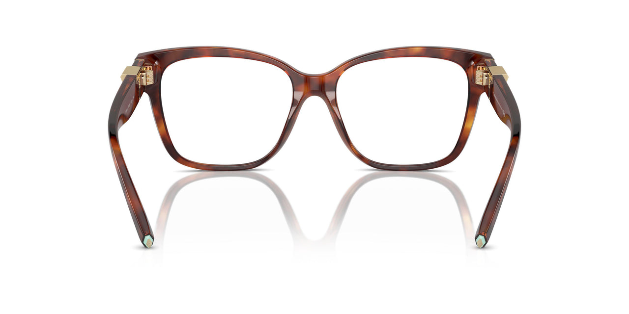 8002 - Tortoise