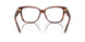 8002 - Tortoise