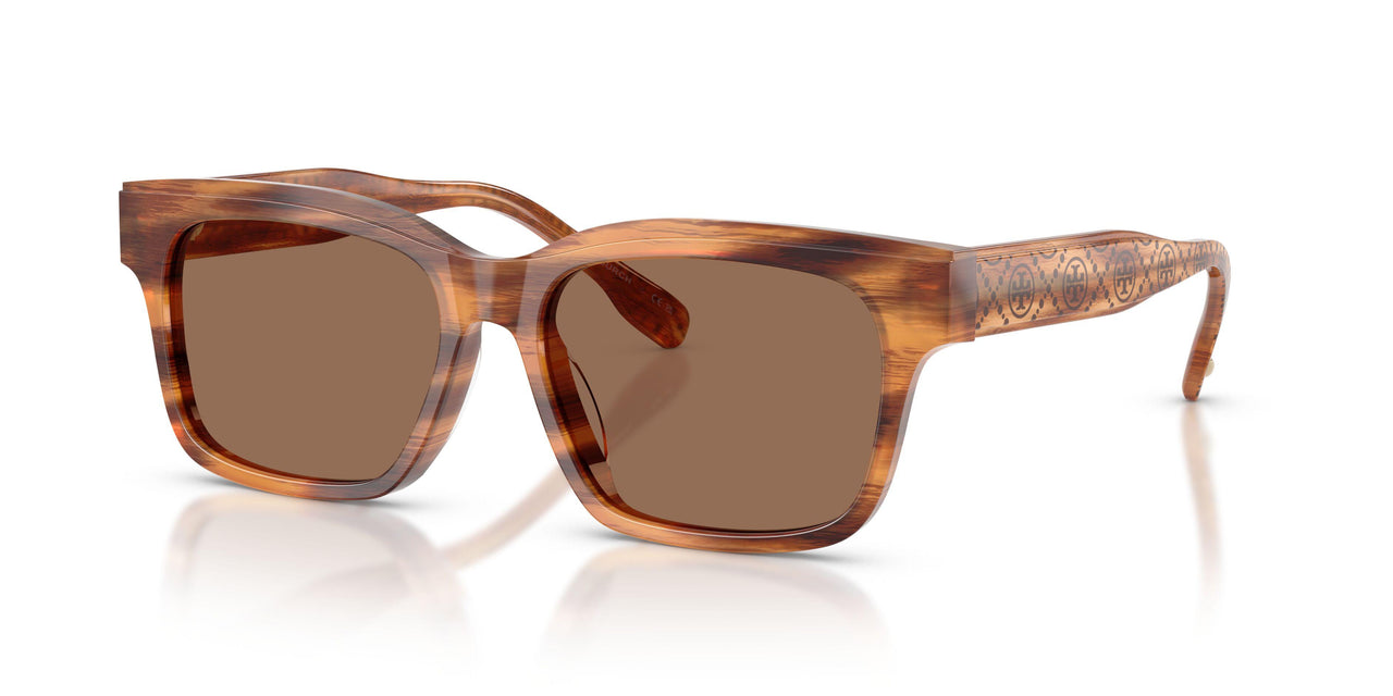 192573 - Tortoise - Dark Brown