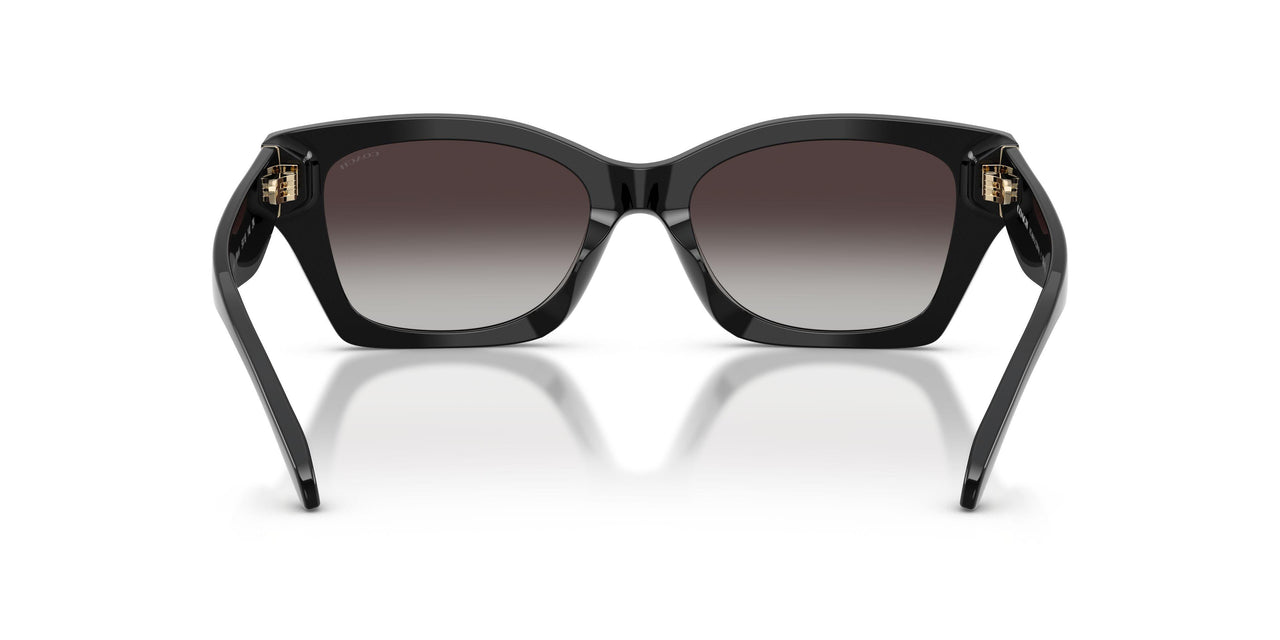 50028G - Black - Grey Gradient