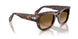 24/M2 - Tortoise - Brown Gradient Brown - Polar