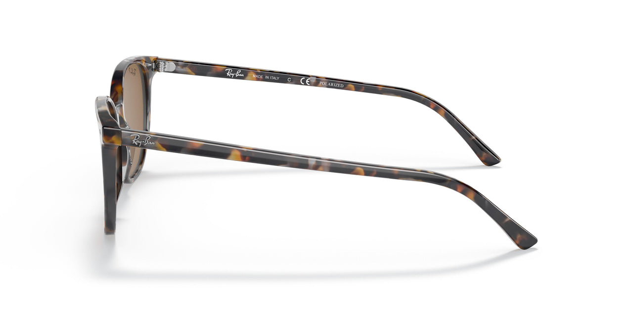 135757 - Havana - Brown Polar