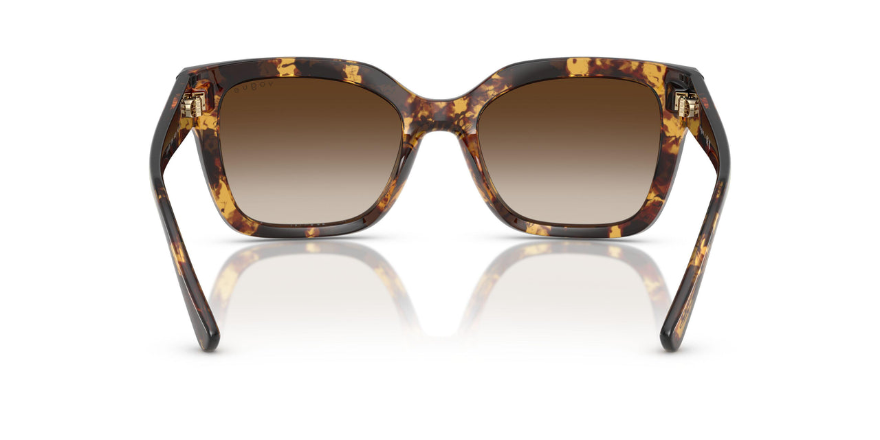 317913 - Tortoise - Gradient Brown