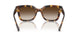 317913 - Tortoise - Gradient Brown