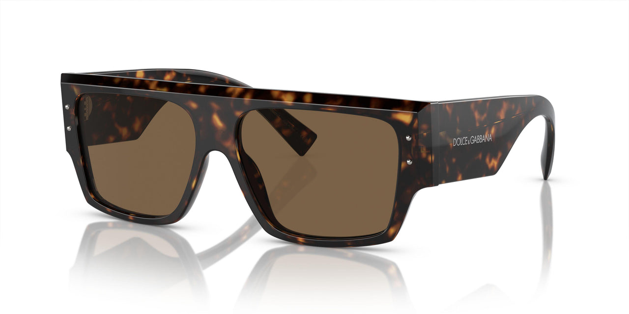 502/73 - Tortoise - Dark Brown