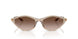 836613 - Brown - Gradient Brown