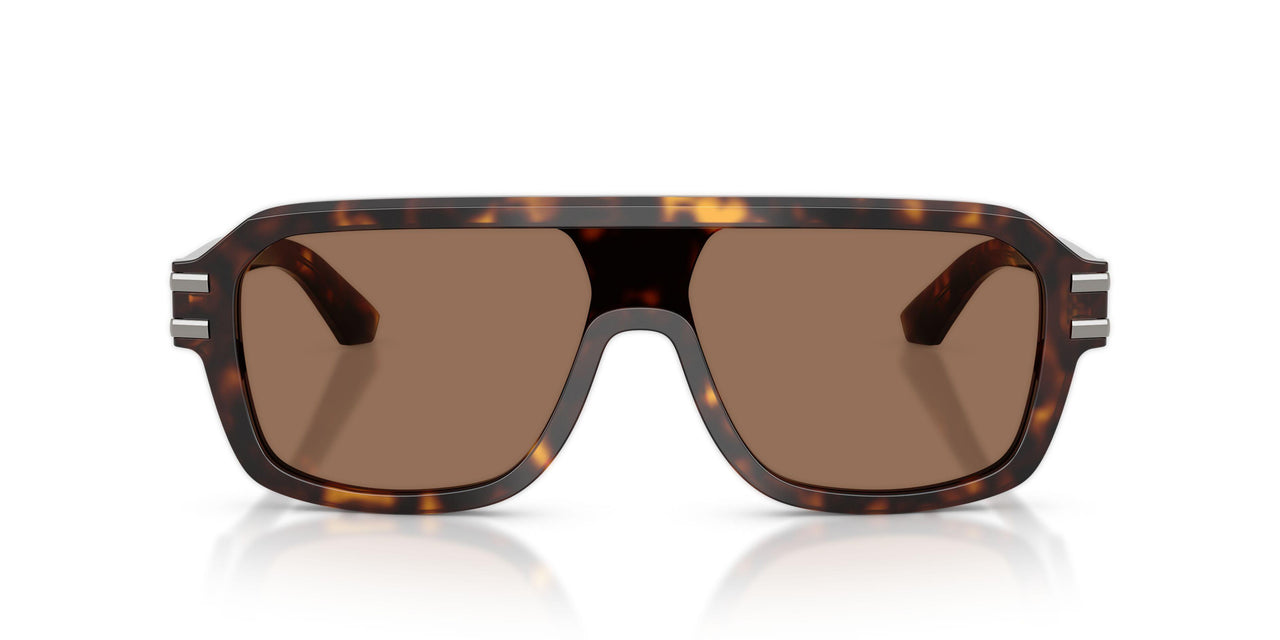 502/73 - Tortoise - Dark Brown