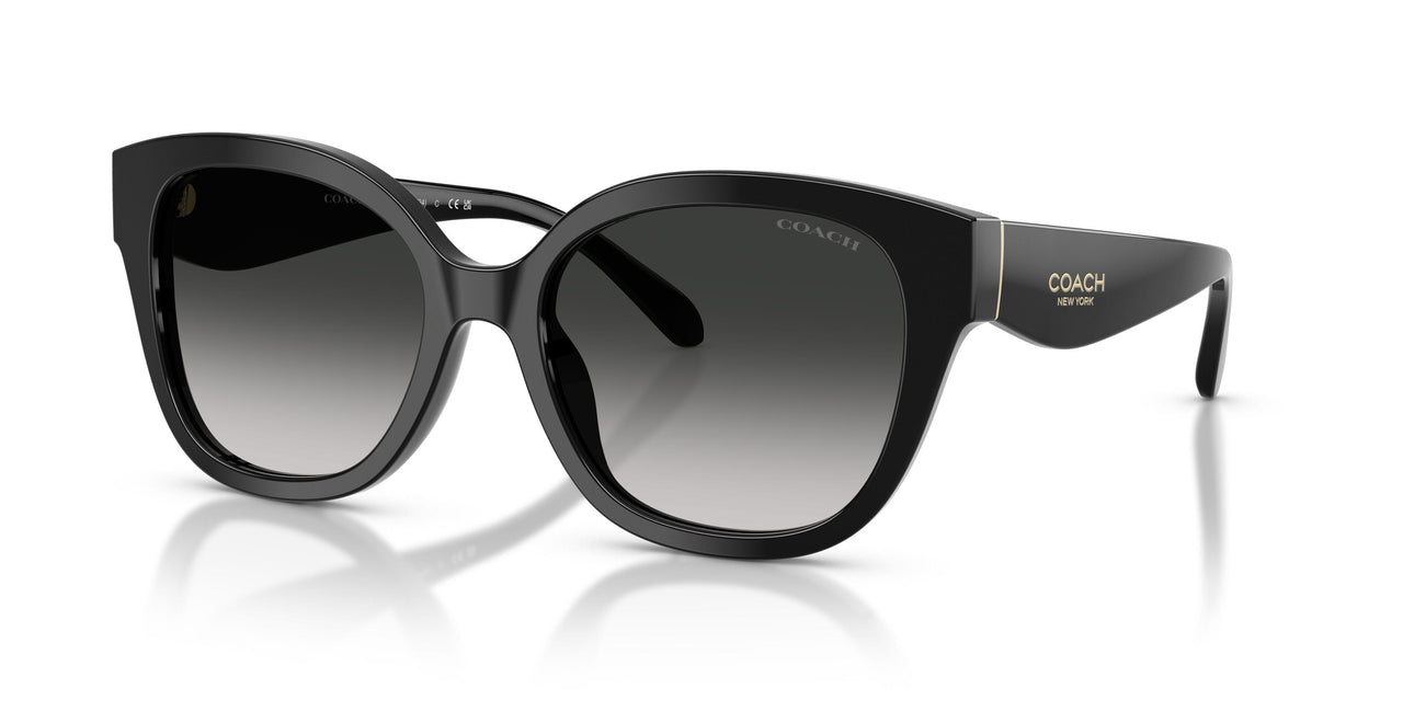 500287 - Black - Grey Gradient