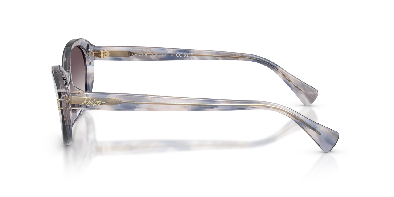 634311 - Tortoise - Grey Gradient