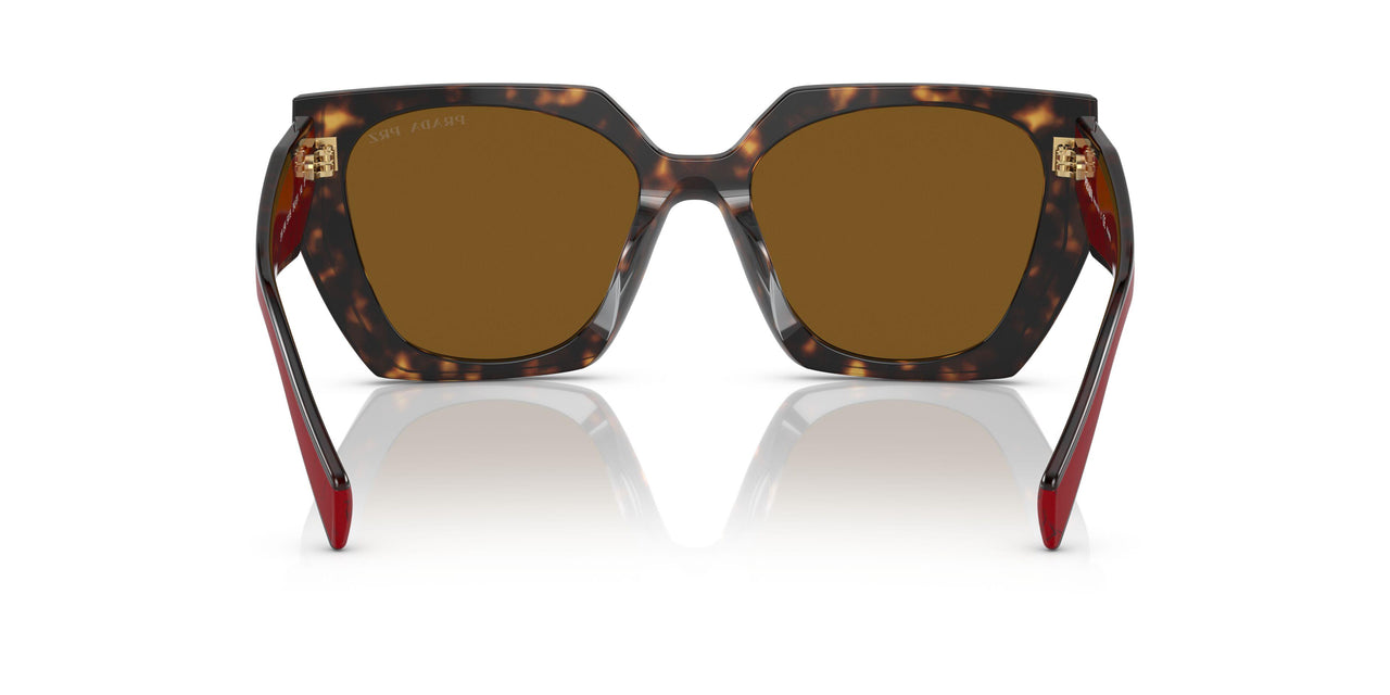 2AU5Y1 - Havana - Dark Brown Polar