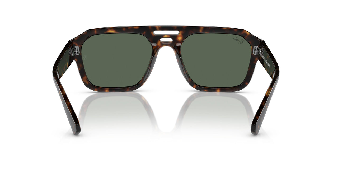 135971 - Tortoise - Dark Blue