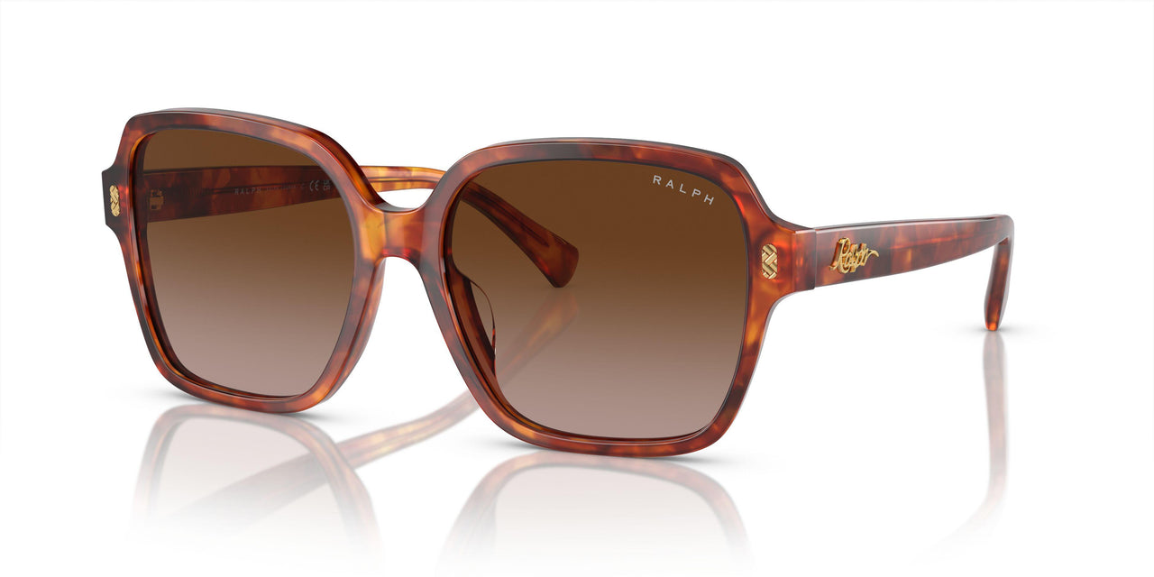 601113 - Orange - Gradient Brown