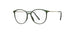 5540 - Moss Green