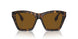 300283 - Brown - Brown Polarized