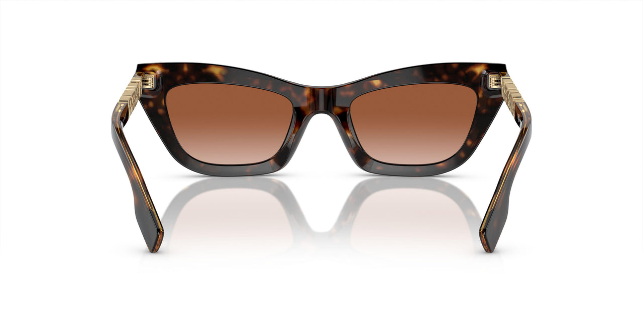300213 - Brown - Brown Gradient