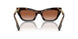 300213 - Brown - Brown Gradient