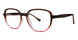 Modern Plastics II PLAZA Eyeglasses