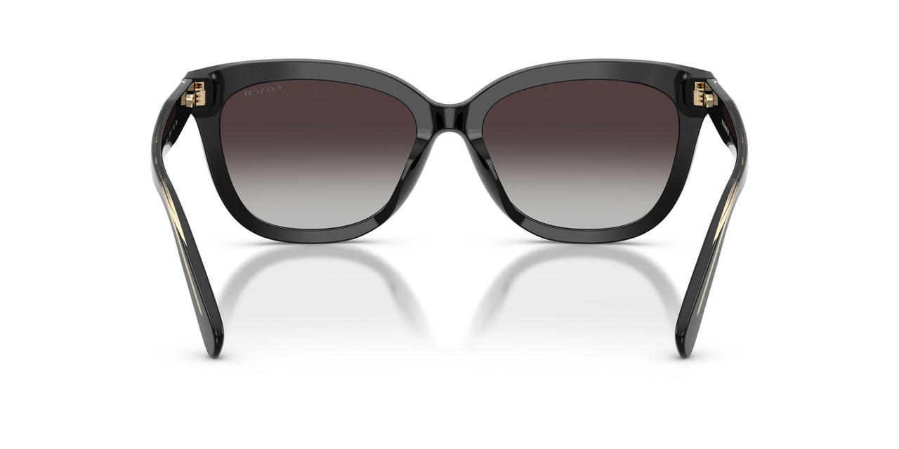 50028G - Black - Grey Gradient