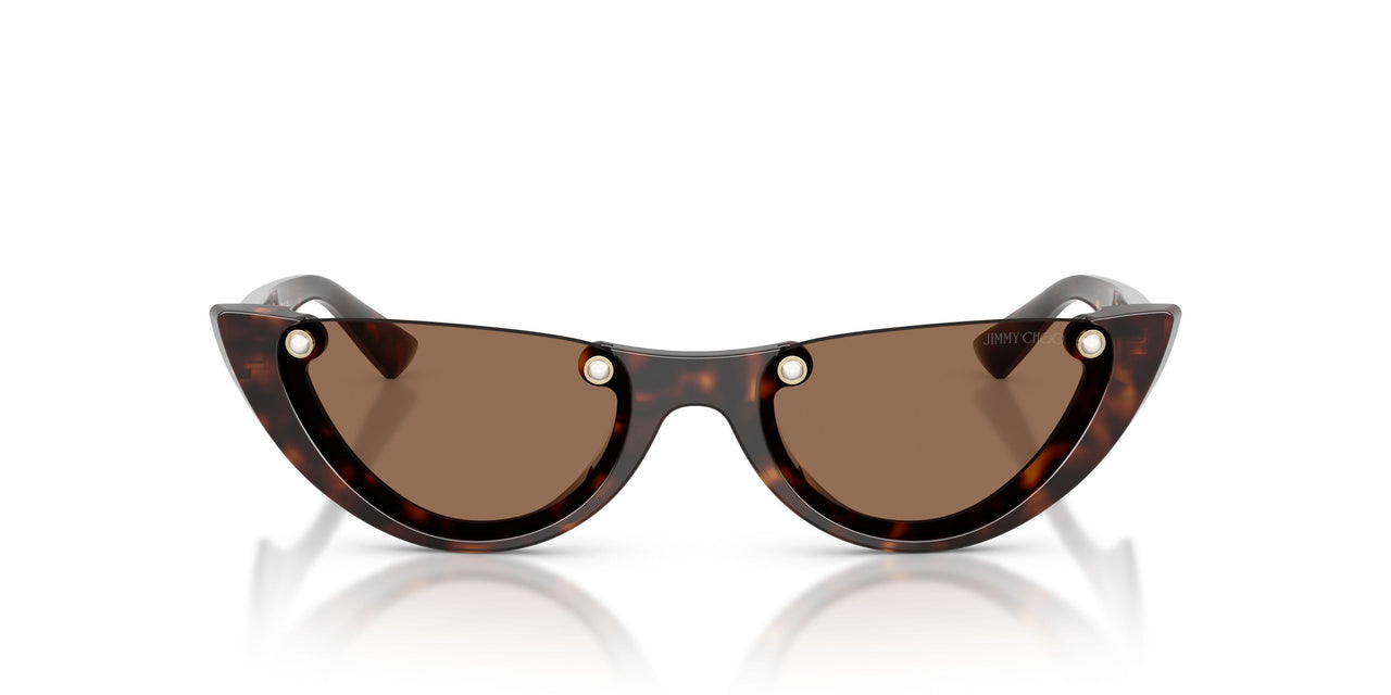 500273 - Tortoise - Dark Brown