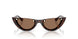 500273 - Tortoise - Dark Brown