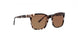 Life Is Good LGFLAMENCO Sunglasses