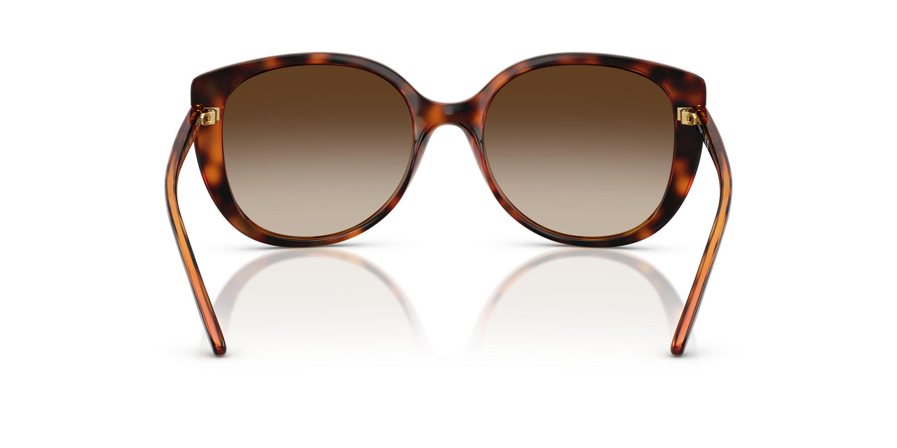W65613 - Brown - Gradient Brown