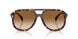 304889 - Tortoise - Gradient Brown