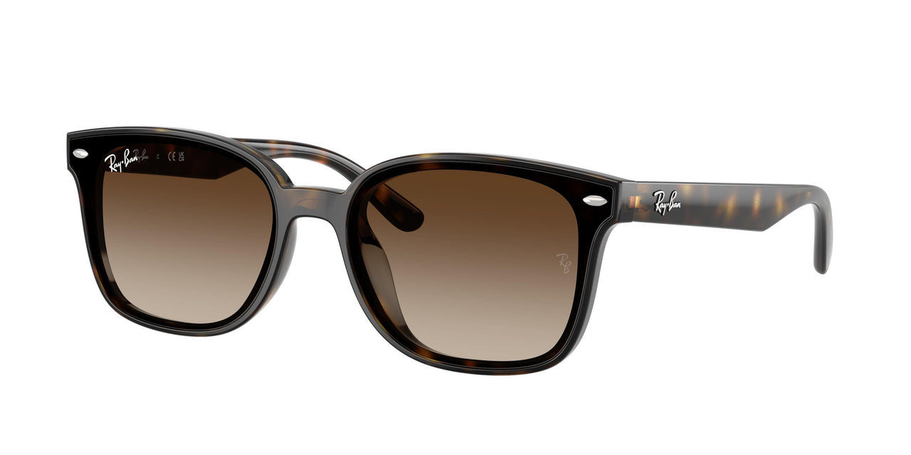 Ray-Ban 4461D Sunglasses