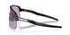 946323 - Black - Prizm Slate