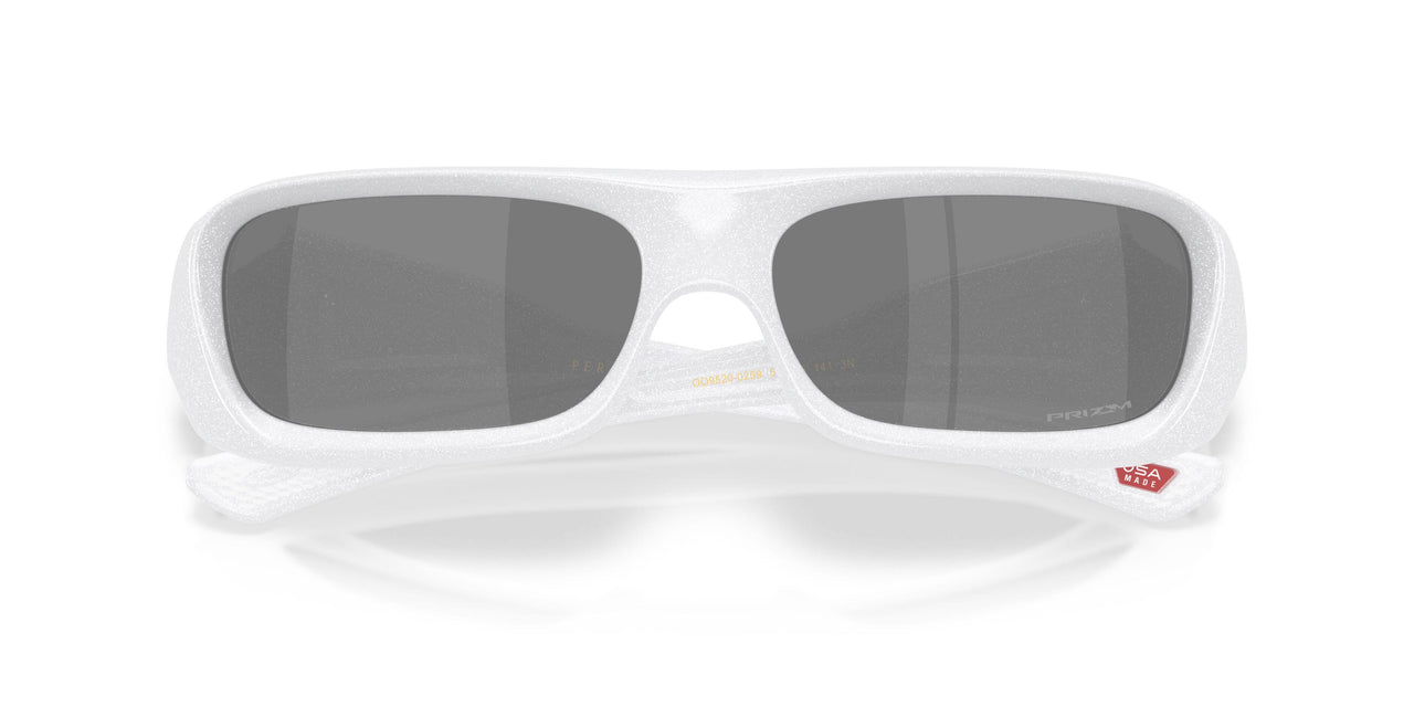952002 - White - Prizm Black