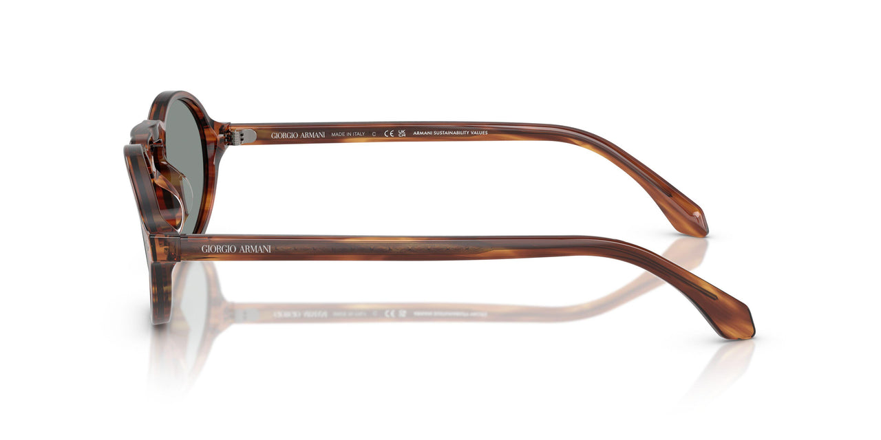 616256 - Tortoise - Blue