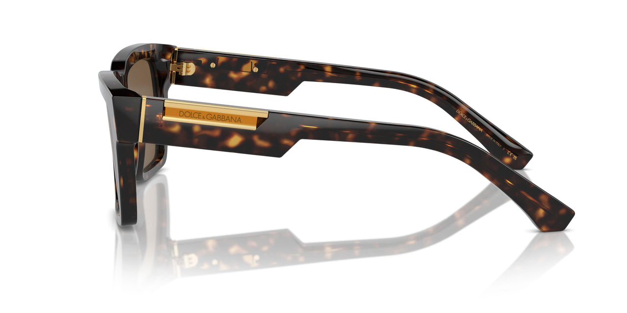 502/73 - Tortoise - Dark Brown