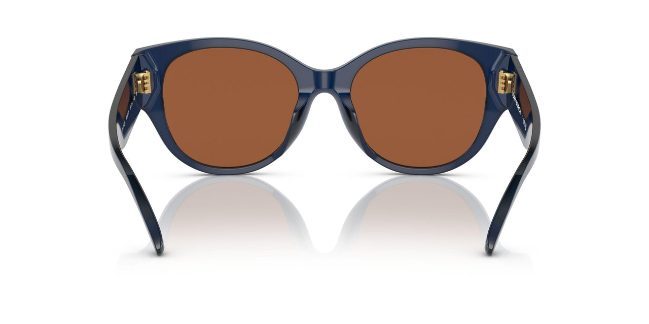 165673 - Blue - Solid Brown