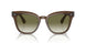 16258E - Brown - Olive Gradient